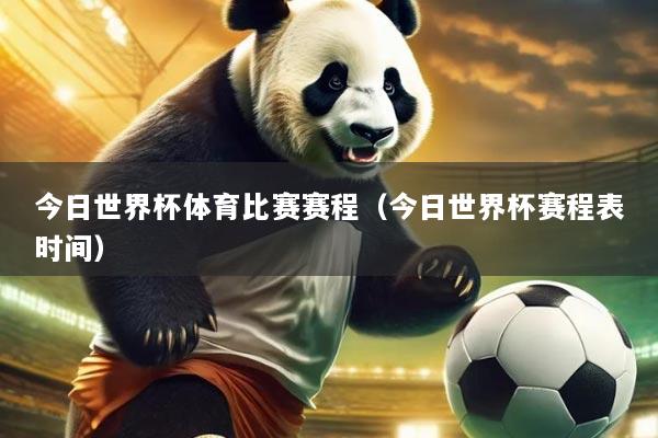今日世界杯体育比赛赛程（今日世界杯赛程表时间）