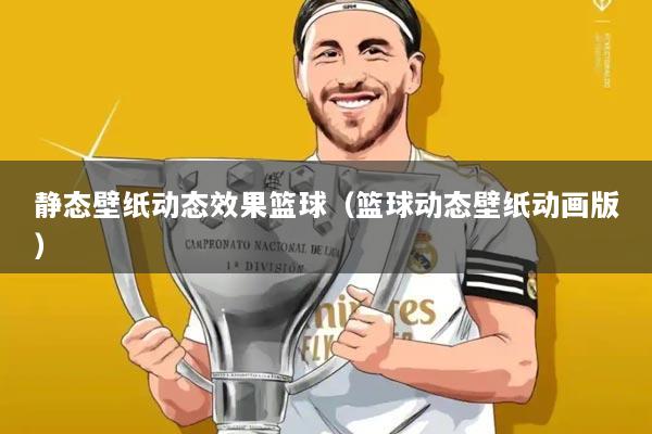 静态壁纸动态效果篮球（篮球动态壁纸动画版）