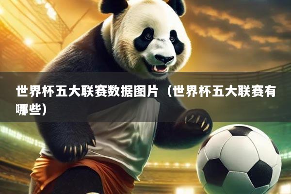 世界杯五大联赛数据图片(世界杯五大联赛有哪些)