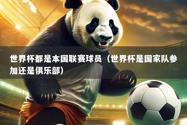 世界杯都是本国联赛球员(世界杯是国家队参加还是俱乐部)