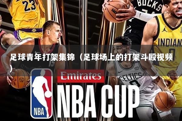 足球青年打架集锦(足球场上的打架斗殴视频)