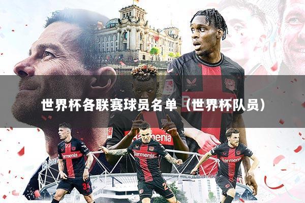 世界杯各联赛球员名单（世界杯队员）