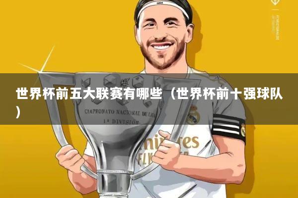 世界杯前五大联赛有哪些（世界杯前十强球队）
