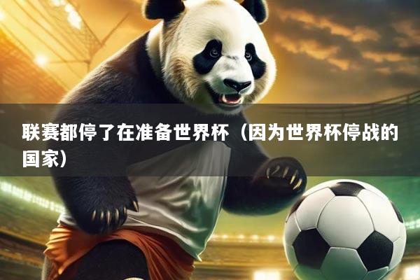 联赛都停了在准备世界杯（因为世界杯停战的国家）