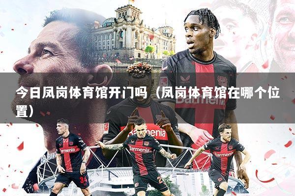 今日凤岗体育馆开门吗（凤岗体育馆在哪个位置）