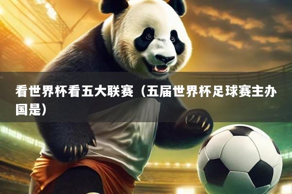 看世界杯看五大联赛（五届世界杯足球赛主办国是）